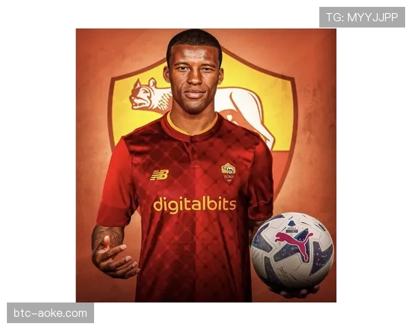 格拉维纳指出意大利足球危机源于技术水平下降和青年人才流失